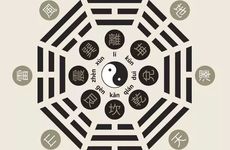 六十甲子松柏木八字纳音详解 松柏木之人命运如何