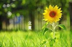 防小人应该佩戴什么 小人的特点与表现