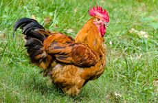 2023年开始有十年的大运 可以进入上流社会