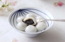 2023年数九从哪天开始