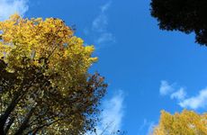 2022年秋老虎是什么时候 2022秋老虎一般在几月