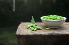 梦见猫捉老鼠怎么回事 梦见猫捉老鼠有什么预兆