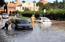 大气高档两字店名带乐字的