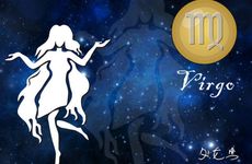 月亮星座 月亮星座是处女座的女生