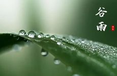 谷雨节气禁忌有哪些？2022年谷雨节气怎么开运？