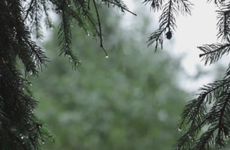 2023年2月19日雨水是开工好日子吗 2023年2月19日开工复工最佳吉时