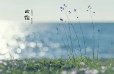 分得快但复合也快的星座情侣