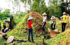 新坟前三年有什么讲究？ 新坟前三年用去上坟吗