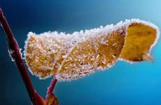 2022年立冬宝宝起名宜忌大全 生在立冬时小孩应该取什么名