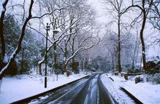 小雪节气的传统习俗及农事活动