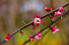 2022年躲春能不能开灯 2022年立春躲春躲多长时间