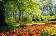 葫芦辟邪最怕三个东西 葫芦能辟邪招财吗