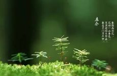 2024年立春前生的孩子属什么 2024年一月出生的虎宝宝命运