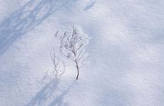 梦见金属制品怎么回事 梦见金属制品有什么预兆