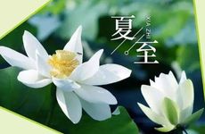 夏至节气的农事活动及传统食物