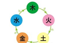 五行缺木怎么补救