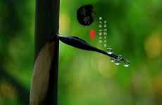 梦见毕业了离别很伤感有什么征兆