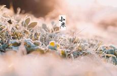 大寒能不能结婚2022