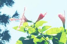 2022年农历十月三十理发好吗 有什么忌讳？