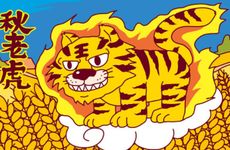 属虎狮子座女生的性格特点