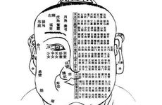 脑后有反骨面相为? 男人脑后有反骨的面相