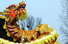 梦见狗对自己特别亲热