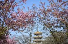 2022年农历十月二十日是适合理发剪头发的黄道吉日吗？