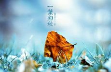 2022年立秋日是几点几分 2022年立秋时间是早还是晚