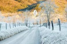 2022年立冬过后穿什么衣服 立冬补冬不补嘴空的意思