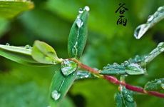 客厅挂什么字最好？ 十大最旺家的客厅挂字书法