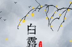 2023年白露属什么 生肖冲什么