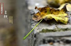 立秋吃什么水果好，有什么作用