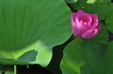 化解太岁最好方法2025