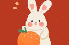 属兔人做什么行业最旺