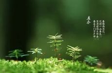 立春出生的孩子命运好吗 宝宝的运势怎么样