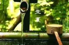 2024年立夏应该吃什么 葡萄 绿豆汤 蔬菜