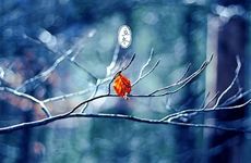 男生的网名好听又帅气