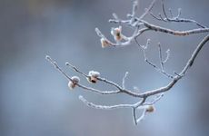 夏天到了发朋友圈的精美句子