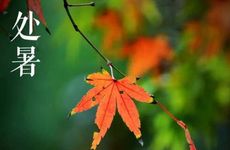 处暑节气可以上坟吗