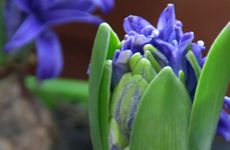 立春是春天的第一天吗？2022年立春是五九尾还是六九头？