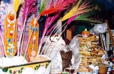 正月十四属蛇的人切记不与人发生争执