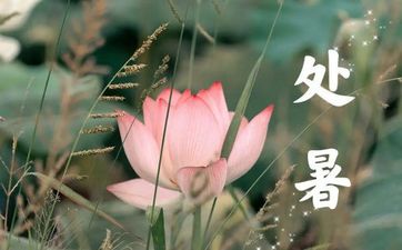 2月17日是什么星座