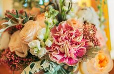 9种镇宅旺财树 富贵吉祥在此一举