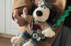 属狗人幸运花是什么花？属狗的2023年运气怎么样