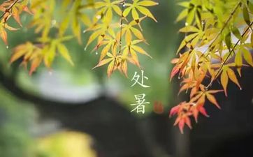 梦见阳光怎么回事 梦见阳光有什么预兆