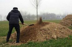 清明节祝福语简短 清明节诗词佳句