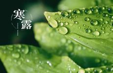 梦见欠别人钱别人问我要账是什么意思