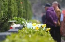 算一算你能活多少岁