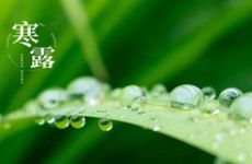 寒露节气吃什么好 推荐几款养生美食