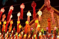 春节家居风水摆上五种招财花 好运过大年